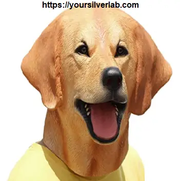 Golden Lab Mask Realistic 