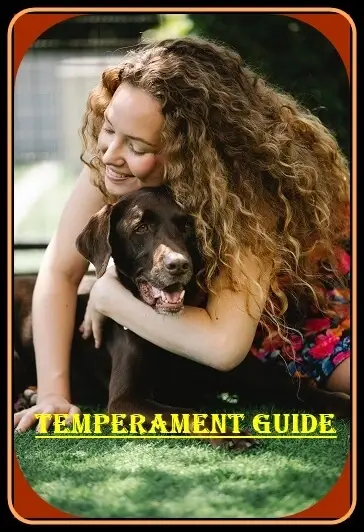 Labrador Temperament Control