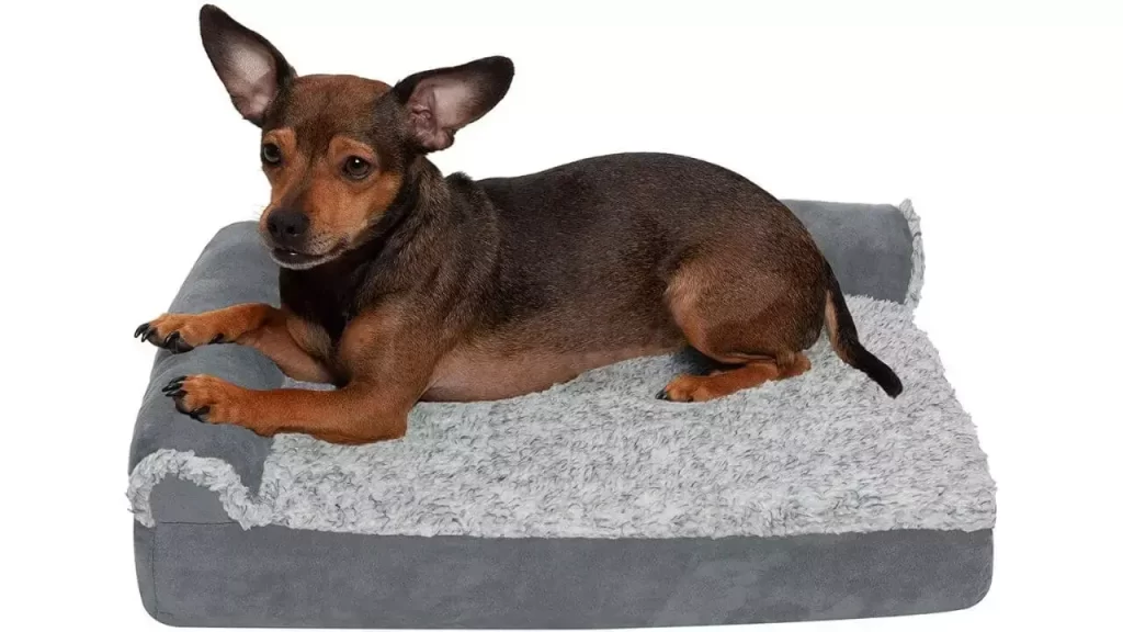 Furhaven orthopedic Pet Beds for Small Dogs