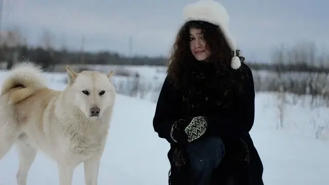 Canadian Eskimo Dog Training