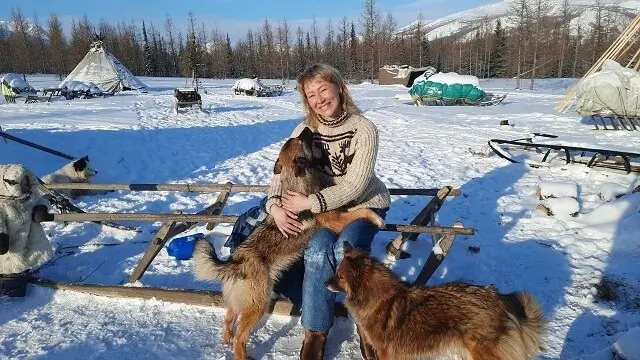 Canadian Eskimo Dog For Sale