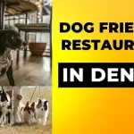 Dog Friendly Restaurants In Denver