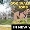 Dog Walking Jobs in New York City