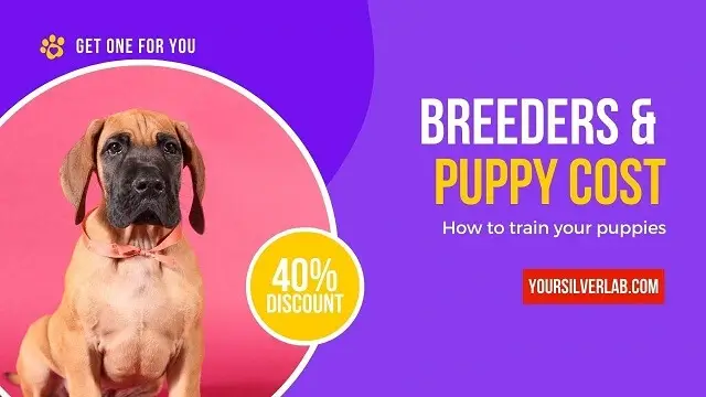 Breeders & Puppy Costs