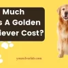 How Much Does A Golden Retriever Cost